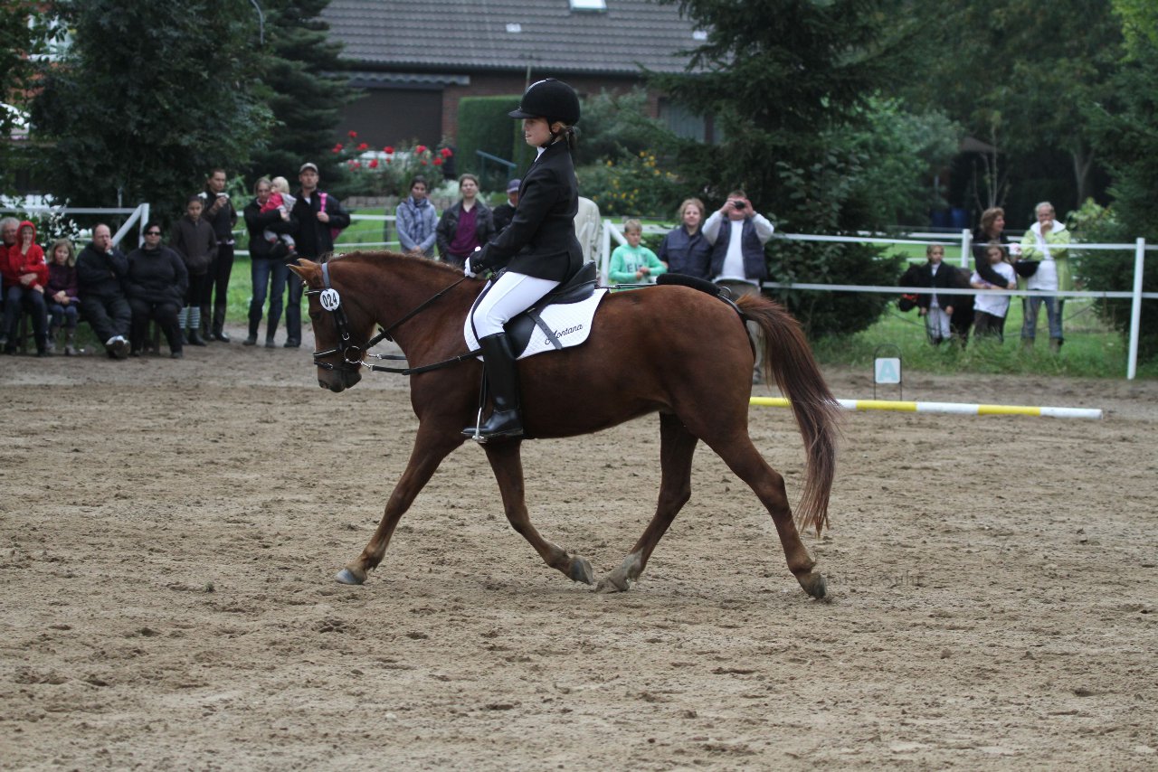 Bild 1048 - WBO-Turnier am 18.9.11